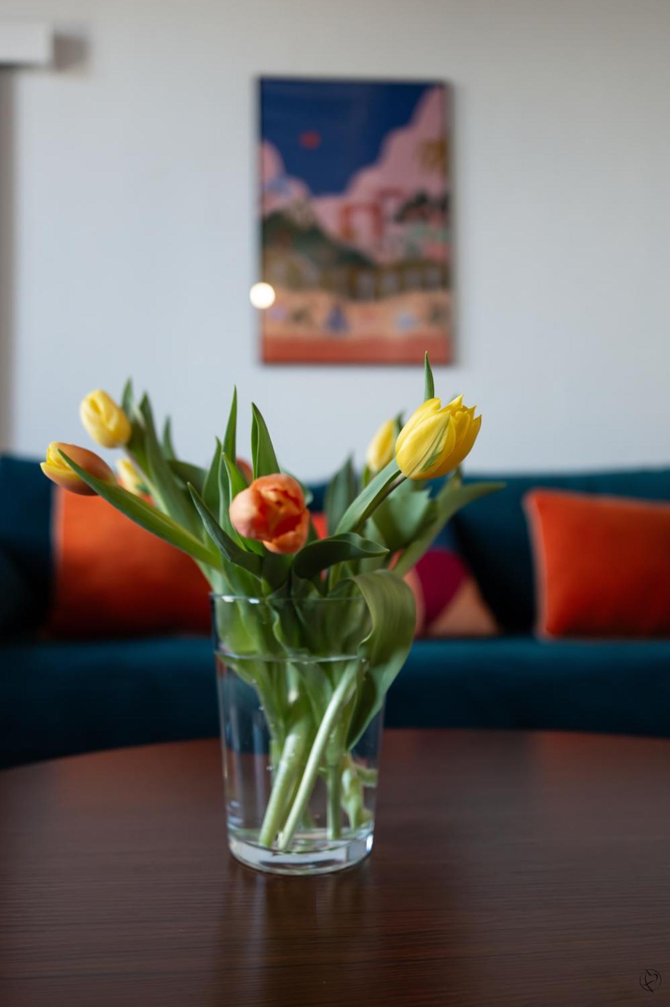 Orange Sunset Apartment Draguignan Ngoại thất bức ảnh